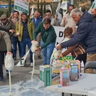 Uni�n de Uniones denuncia la presi�n de la industria l�ctea e insta a las ganader�as de leche a no firmar contratos a la baja