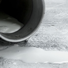 FENIL ve "leg�tima" la protesta de los ganaderos por el precio de la leche