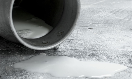 FENIL ve "leg�tima" la protesta de los ganaderos por el precio de la leche