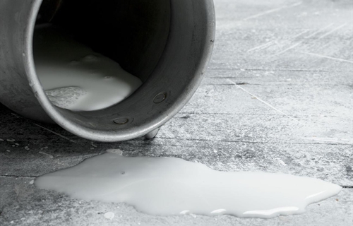 FENIL ve "leg�tima" la protesta de los ganaderos por el precio de la leche