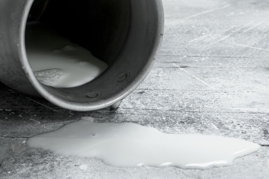 FENIL ve "leg�tima" la protesta de los ganaderos por el precio de la leche