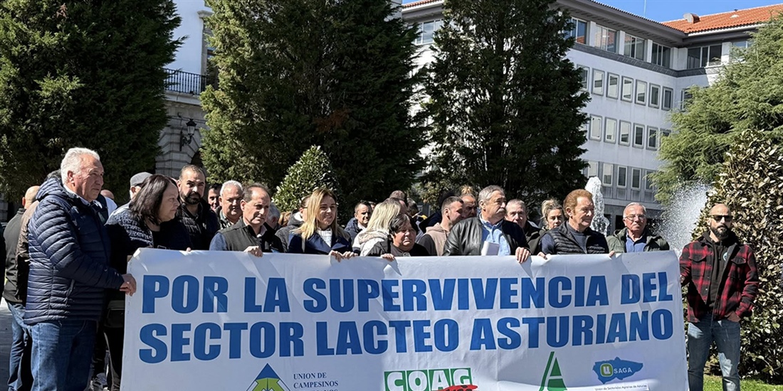 Ganaderos claman en Oviedo por la supervivencia del sector l�cteo asturiano