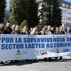 Ganaderos claman en Oviedo por la supervivencia del sector l�cteo asturiano