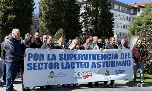 Ganaderos claman en Oviedo por la supervivencia del sector l�cteo asturiano