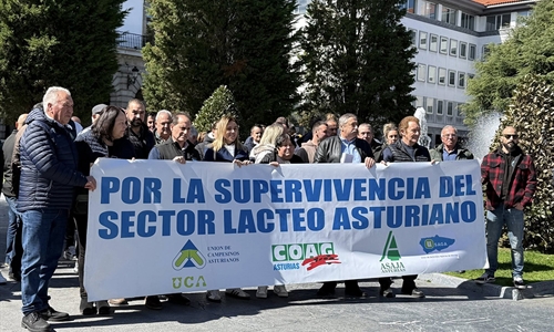 Ganaderos claman en Oviedo por la supervivencia del sector l�cteo asturiano