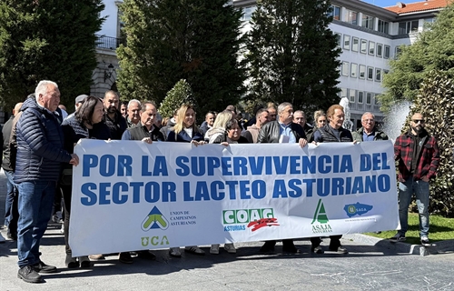 Ganaderos claman en Oviedo por la supervivencia del sector l�cteo asturiano