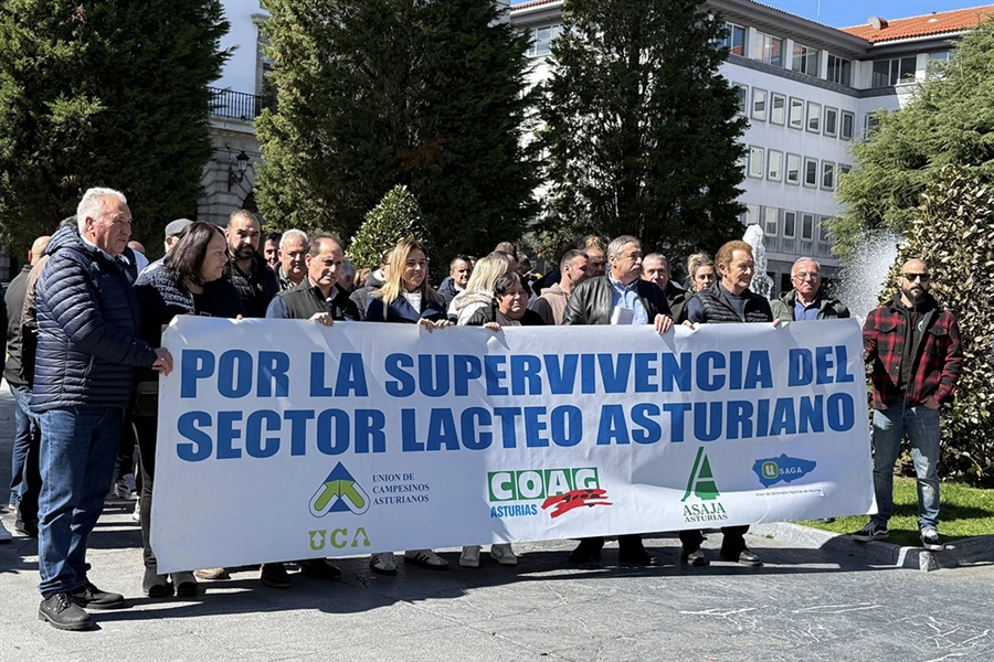 Ganaderos claman en Oviedo por la supervivencia del sector l�cteo asturiano