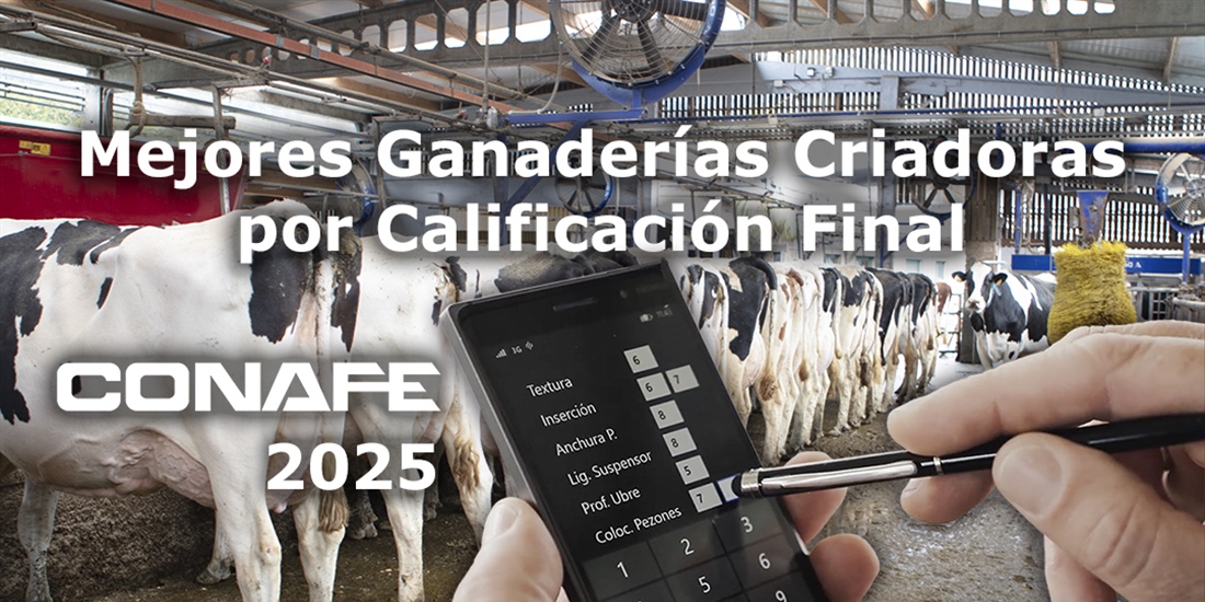 Mejores ganader�as criadoras por Calificaci�n Final de 2025