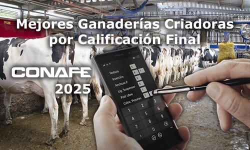 Mejores ganader�as criadoras por Calificaci�n Final de 2025