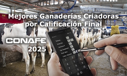 Mejores ganader�as criadoras por Calificaci�n Final de 2025