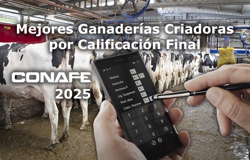 Mejores ganader�as criadoras por Calificaci�n Final de 2025