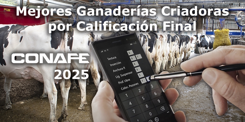 Mejores ganader�as criadoras por Calificaci�n Final de 2025