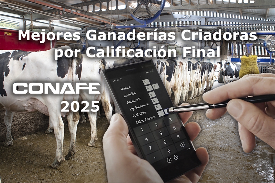 Mejores ganader�as criadoras por Calificaci�n Final de 2025