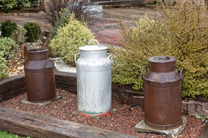 El sector l�cteo mantiene posiciones enfrentadas a pocas horas de renovar sus contratos