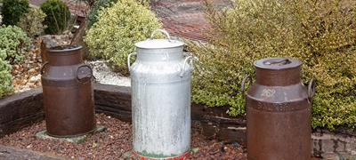 El sector l�cteo mantiene posiciones enfrentadas a pocas horas de renovar sus contratos