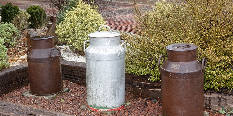 El sector l�cteo mantiene posiciones enfrentadas a pocas horas de renovar sus contratos