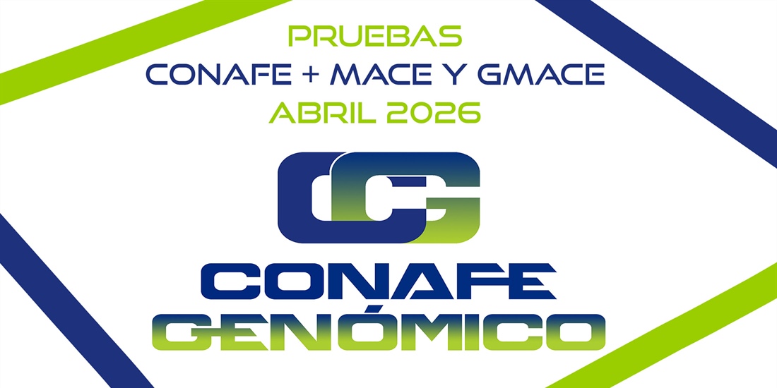 Nueva evaluaci�n gen�tica CONAFE de vacuno de  raza frisona + MACE y...