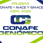 Nueva evaluaci�n gen�tica CONAFE de vacuno de  raza frisona + MACE y GMACE de abril 2026