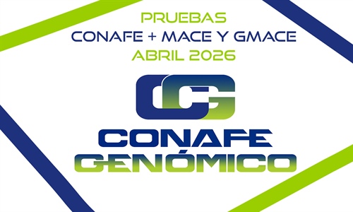 Nueva evaluaci�n gen�tica CONAFE de vacuno de  raza frisona + MACE y...