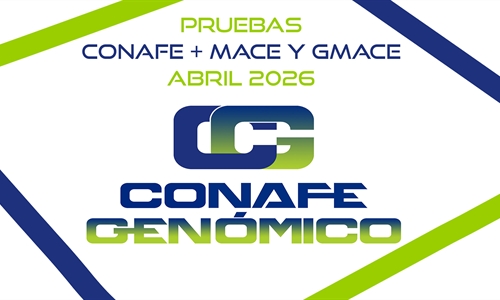 Nueva evaluaci�n gen�tica CONAFE de vacuno de  raza frisona + MACE y...