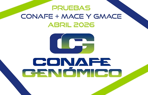 Nueva evaluaci�n gen�tica CONAFE de vacuno de  raza frisona + MACE y...