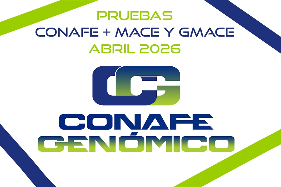 Nueva evaluaci�n gen�tica CONAFE de vacuno de  raza frisona + MACE y...
