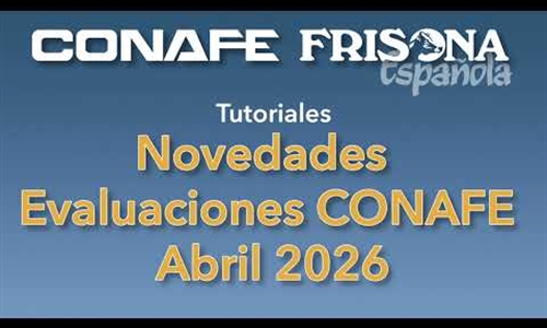 V�deo: Tutoriales sobre las novedades de las evaluaciones CONAFE de...