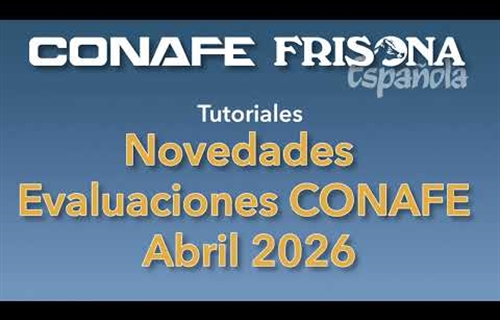 V�deo: Tutoriales sobre las novedades de las evaluaciones CONAFE de...