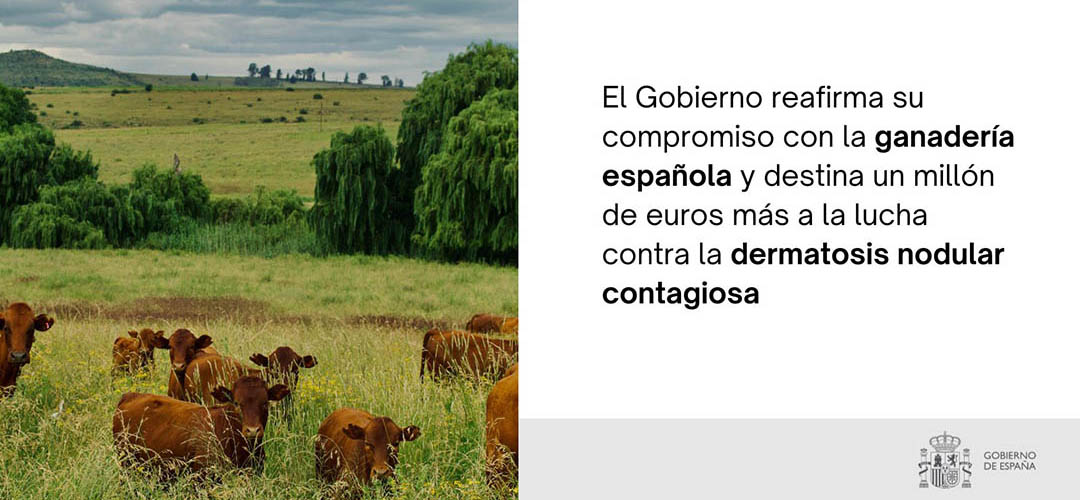 El Gobierno destina otro mill�n de euros para la compra de vacunas...