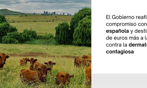 El Gobierno destina otro mill�n de euros para la compra de vacunas...