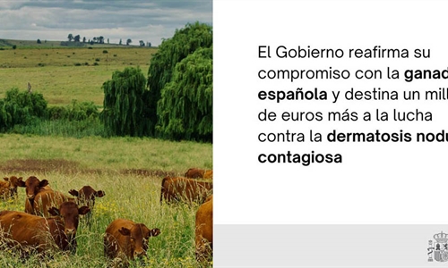 El Gobierno destina otro mill�n de euros para la compra de vacunas...
