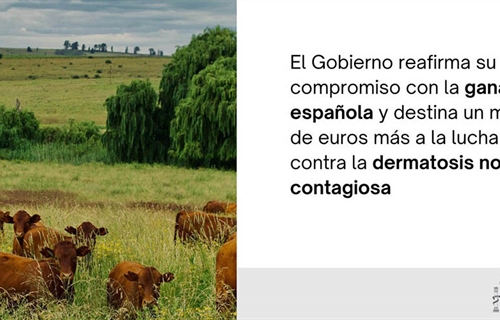 El Gobierno destina otro mill�n de euros para la compra de vacunas...