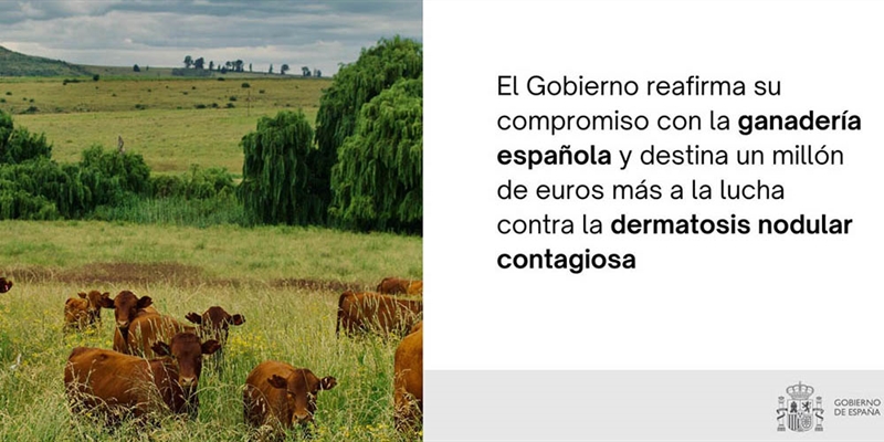 El Gobierno destina otro mill�n de euros para la compra de vacunas contra la dermatosis nodular contagiosa
