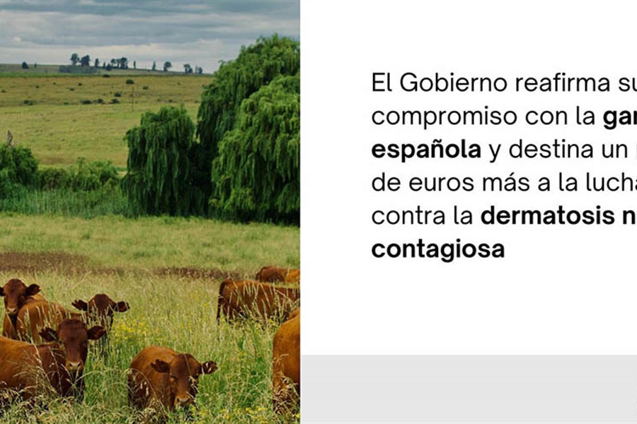 El Gobierno destina otro mill�n de euros para la compra de vacunas...