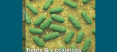 Fiebre Q y coxielosis