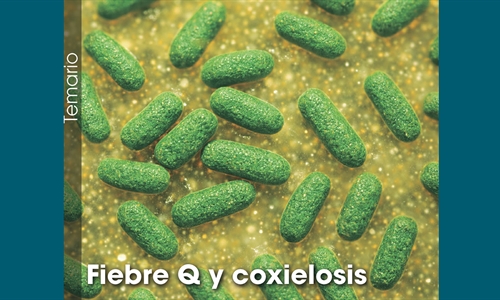 Fiebre Q y coxielosis