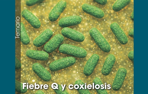 Fiebre Q y coxielosis