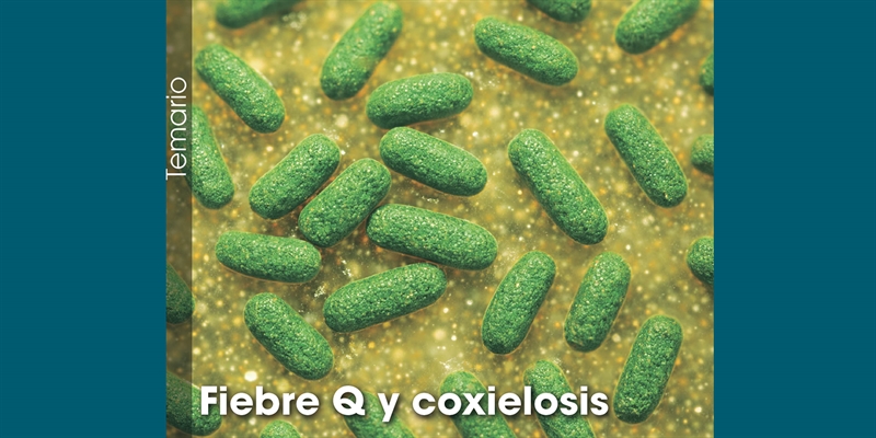Fiebre Q y coxielosis