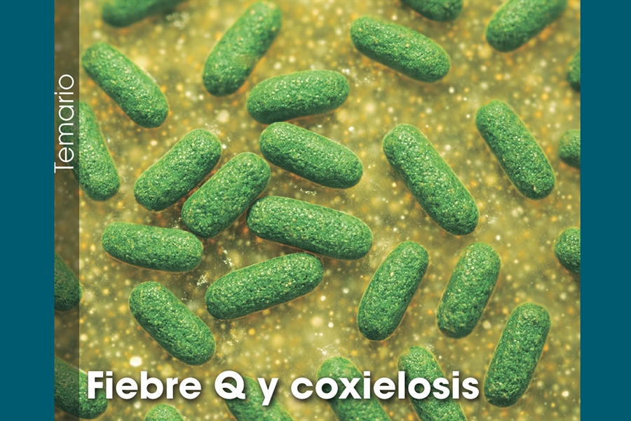 Fiebre Q y coxielosis