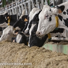 El Gobierno defiende su control del sector l�cteo y cifra en 87 las infracciones en 2025