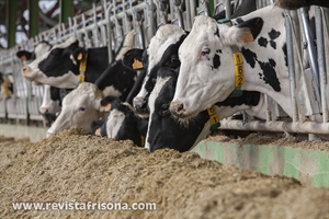El Gobierno defiende su control del sector l�cteo y cifra en 87 las infracciones en 2025
