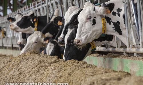 El Gobierno defiende su control del sector l�cteo y cifra en 87 las...