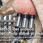 Efectos del orde�o mec�nico sobre el pez�n