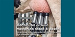 Efectos del orde�o mec�nico sobre el pez�n