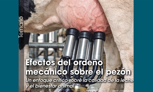 Efectos del orde�o mec�nico sobre el pez�n