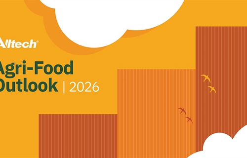 La producci�n mundial de piensos aument� un 2,9% en 2025