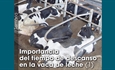 Importancia del tiempo de descanso en la vaca de leche (1)