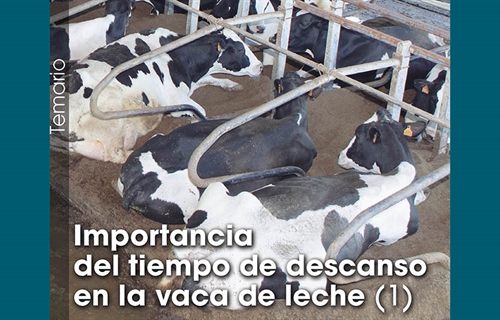 Importancia del tiempo de descanso en la vaca de leche (1)
