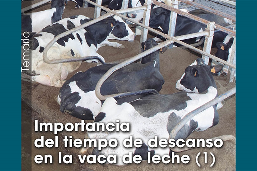 Importancia del tiempo de descanso en la vaca de leche (1)