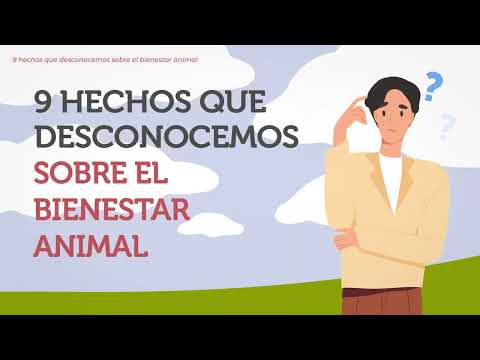 #RealidadGanadera: 9 hechos que no conoc�as sobre el bienestar animal